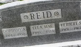 Dorothy A Reid Dorothy A Reid