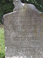 Dorothy Allene Wellons Dorothy Allene Wellons