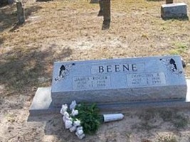 Dorothy Beene