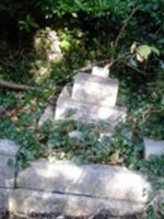 Dorothy Elsie Stringer, O. B. E