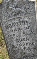 Dorothy L Bush