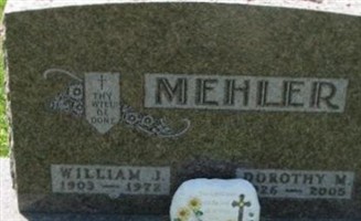 Dorothy M Mehler Dorothy M Mehler