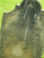 Dorothy Orcutt Fobes