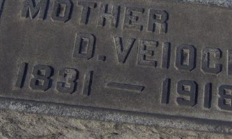 Dorthea Deitrich Veiock Dorthea Deitrich Veiock