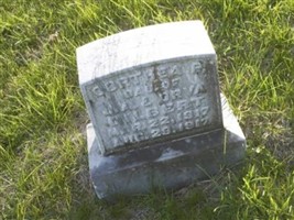 Dorthea P Gilbert
