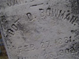 Dot D Bowman Dot D Bowman
