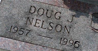 Douglas J Nelson