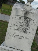 Dove Taylor