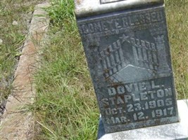 Dovie L Stapleton