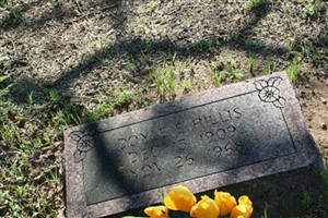 Doyle E. Hillis