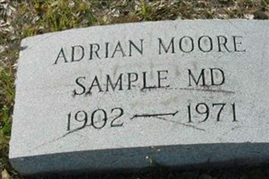 Dr Adrian Moore Sample Dr Adrian Moore Sample