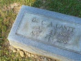 Dr C. A. Gantt