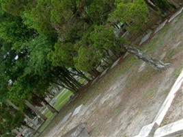 Dr Francis Marion Linebaugh Dr Francis Marion Linebaugh