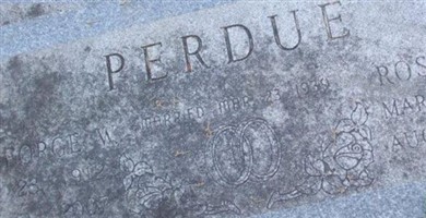Dr George W. Perdue Dr George W. Perdue