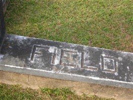 Dr James Clinton Field