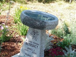 Dr James Stephen Benedict Dr James Stephen Benedict