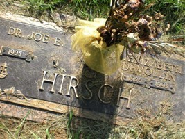 Dr Joe E Hirsch