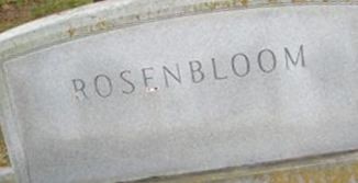 Dr Joe Rosenbloom