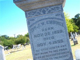 Dr John W. Embree Dr John W. Embree