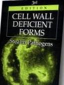 Dr Lida Holmes Mattman Dr Lida Holmes Mattman