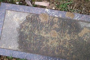 Dr Seymour S. Kimmel