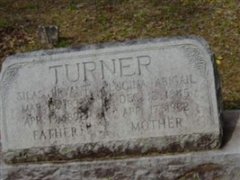 Dr Silas Bryant Turner