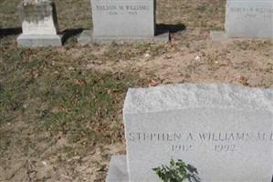 Dr Stephen A Williams Dr Stephen A Williams
