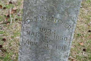 Dr Thomas R Hatcher