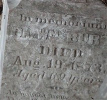 Dr William Burt