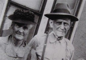 Druce Cellia Brashier Price