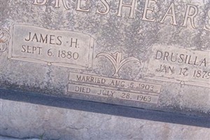 Drucilla Ann Johnson Breshears