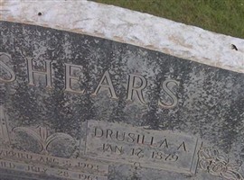Drucilla Ann Johnson Breshears