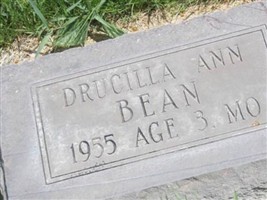 Drucilla Bean