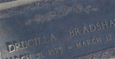 Drucilla Bradshaw
