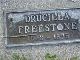 Drucilla Freestone