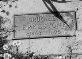 Drucilla Freestone
