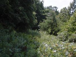 Drummond-Folden Cemetery