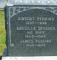 Druzilla "A." Spooner Perkins