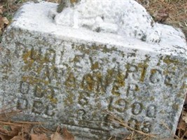 Dudley Arice Wagner