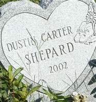 Dustin Carter Shepard Dustin Carter Shepard