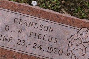 D. W. Fields