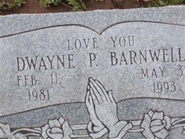 Dwayne P Barnwell Dwayne P Barnwell