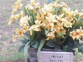 Dwight Urelius Dwight Urelius