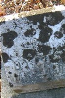 Dycus