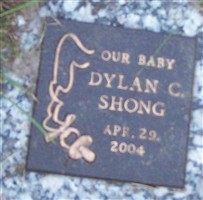 Dylan C. Shong Dylan C. Shong