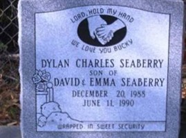 Dylan Charles Seaberry Dylan Charles Seaberry