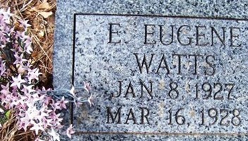 E. Eugene Watts