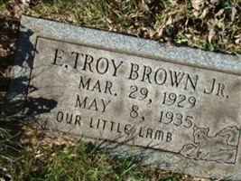E Troy Brown, Jr