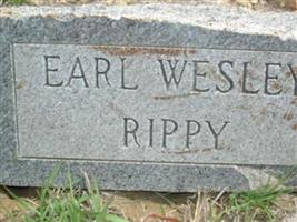 Earl Wesley Rippy