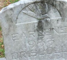 Earlene Driscoll Earlene Driscoll